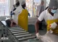 Caribbean Fisheries Forum hosts 24th regular session ahead of ministerial meeting