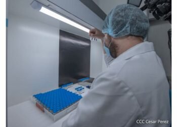 Regime once again opts for Russian vaccine against dengue
