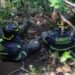 A man is found dead at the bottom of a ravine in Cuajimalpa