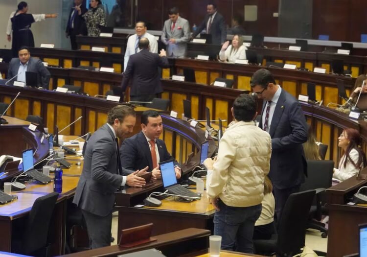 National Assembly approves report that indicates infiltration of criminal groups in municipal transit agencies | Politics | News