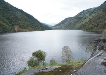 Mazar is supplied, according to the Government. Its level remains above 2024 levels | Economy | News