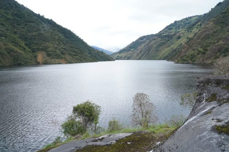 Mazar is supplied, according to the Government. Its level remains above 2024 levels | Economy | News
