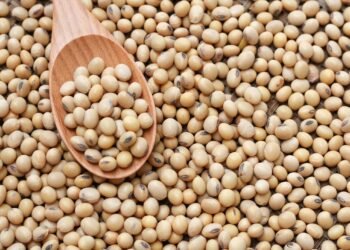 Guyana to export soya beans to Barbados for the first time – Pres. Ali