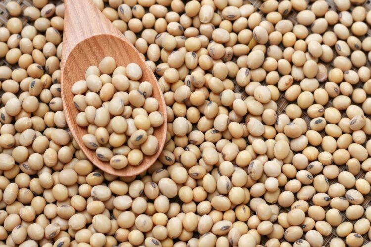 Guyana to export soya beans to Barbados for the first time – Pres. Ali