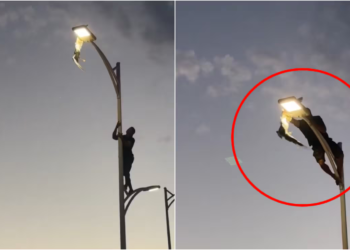 Courage or risk? young man climbs light pole to rescue seagull in La Paz
