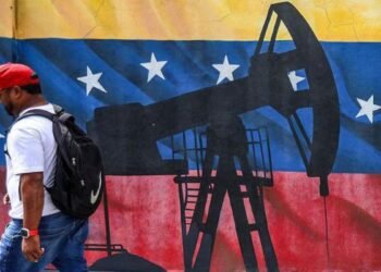 Eight sectors in which you can invest in Venezuela at this moment