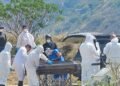 Cabello says that the murder of journalist Walter Jaimes was clarified