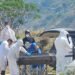 Cabello says that the murder of journalist Walter Jaimes was clarified
