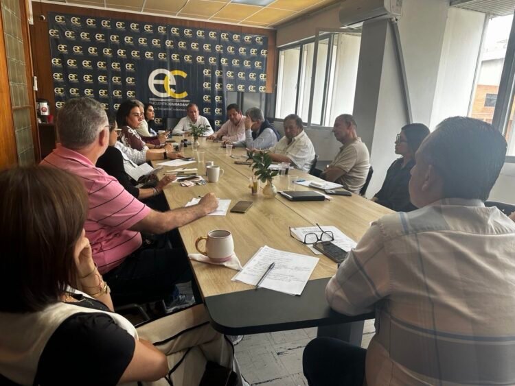 Unitary Platform announces roadmap for democratic transition