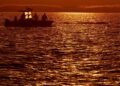 Waiting for a transport barge – or will the whale swim off itself?