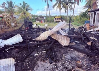Berbice blaze cooks 150lbs of chicken inside freezer