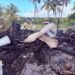 Berbice blaze cooks 150lbs of chicken inside freezer