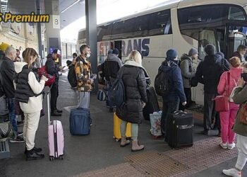 Ukrainians in the Czech Republic cheat with benefits. They claim to be refugees, but they live elsewhere Premium