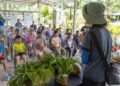 Taiwan farm brings ‘farm to table’ to life for elementary students with sensory challenges