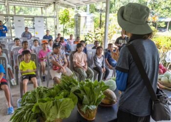 Taiwan farm brings ‘farm to table’ to life for elementary students with sensory challenges