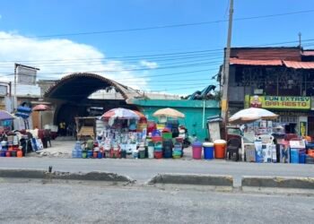 Bas Delmas: a timid resumption of activities in a still fragile climate
