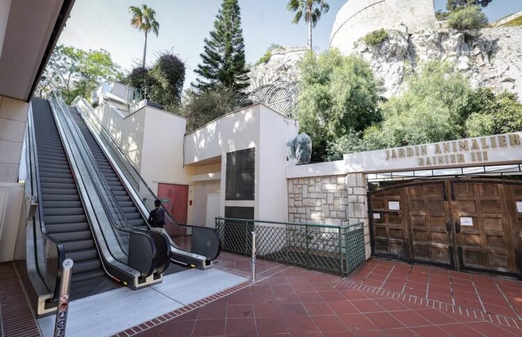 New escalators reopen in Fontvieille – NEWS.MC