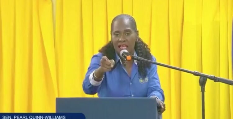 Quinn-Williams confident of victory in St John’s City East