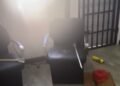 VIDEO: Thieves Undo 10 Years of Hard Work in Two Hours, Leaving Small Business Owner Devastated