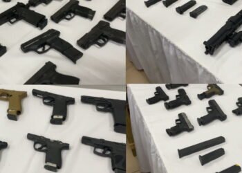 Dominica government and UNLIREC host senior-level inter-agency roundtable to strengthen firearms regulation and public safety