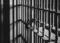 Man Sentenced to 4.5 years for Importing Drugs from American Samoa