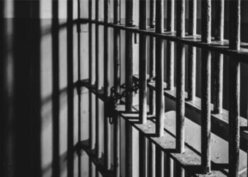 Man Sentenced to 4.5 years for Importing Drugs from American Samoa
