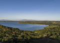 Investments in Papagayo remain up in the air after tree felling ban
