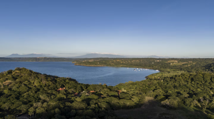 Investments in Papagayo remain up in the air after tree felling ban