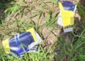 ABLP Candidate Anthony Smith Jr. Rejects Claims Over Poster Removal in All Saints West