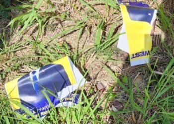 ABLP Candidate Anthony Smith Jr. Rejects Claims Over Poster Removal in All Saints West