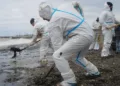 The consequences of the Ukrainian attack continue to be eliminated in Tuapse