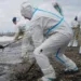 The consequences of the Ukrainian attack continue to be eliminated in Tuapse