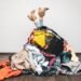 Sophie White: I’m a Type A personality trapped in a Type B body – incurably ambitious but hopelessly disorganised