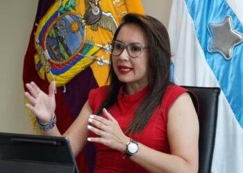 Government Minister says that extending compensation to transporters for one or two more months is being analyzed | Politics | News