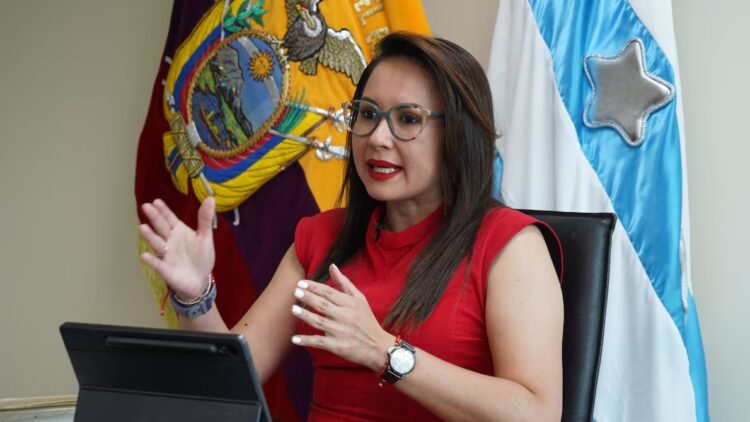 Government Minister says that extending compensation to transporters for one or two more months is being analyzed | Politics | News