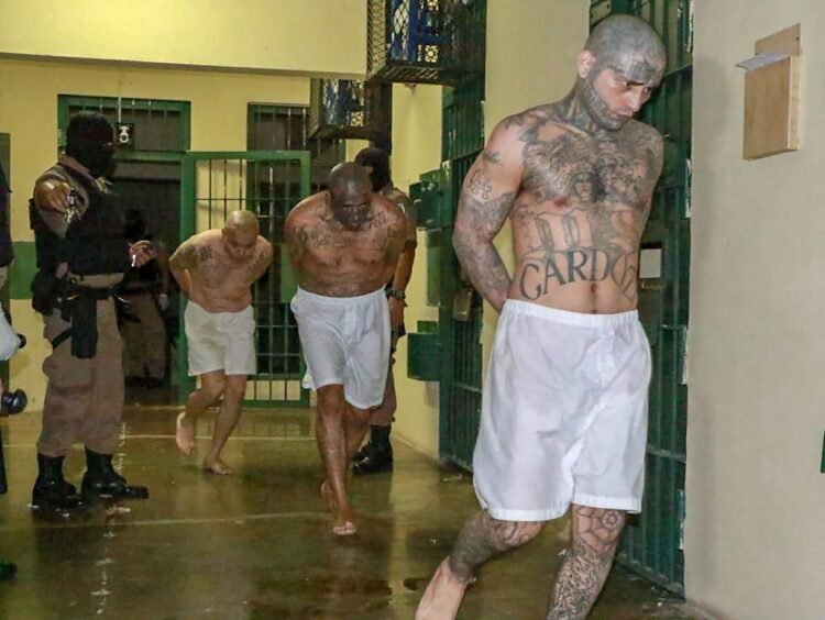 Crime and democracy: the Latin American crossroads