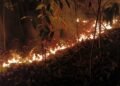 Recurring bushfires in Miri straining Bomba resources, say firefighters
