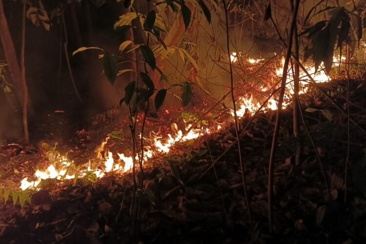 Recurring bushfires in Miri straining Bomba resources, say firefighters