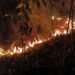 Recurring bushfires in Miri straining Bomba resources, say firefighters