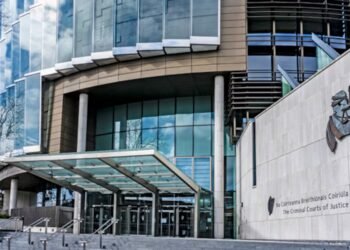 Man who attacked vulnerable brother with hammer and knife committed to Central Mental Hospital – The Irish Times