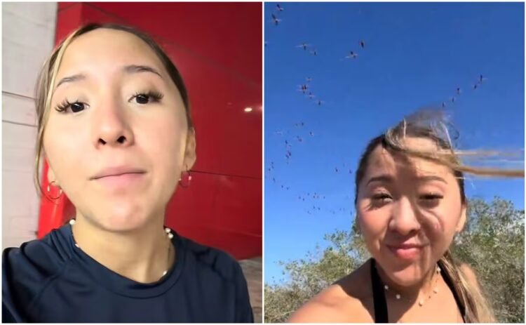 Influencer responds to criticism after scaring away flamingos in a protected area of ​​Yucatán; “I acted like any tourist,” he says.