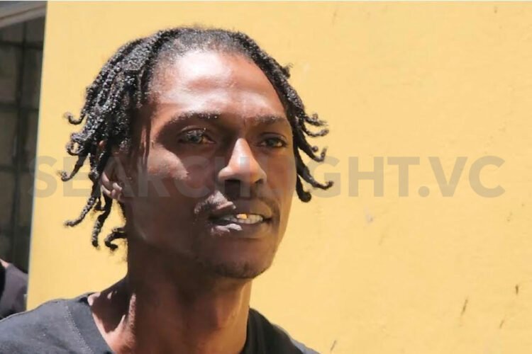 Man who had clean record jailed for possession of illegal gun, ammo