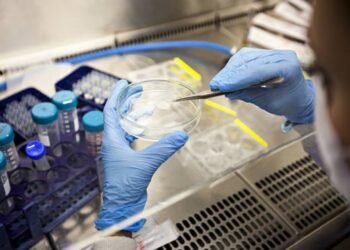 Stem cell transplant achieves cure for HIV