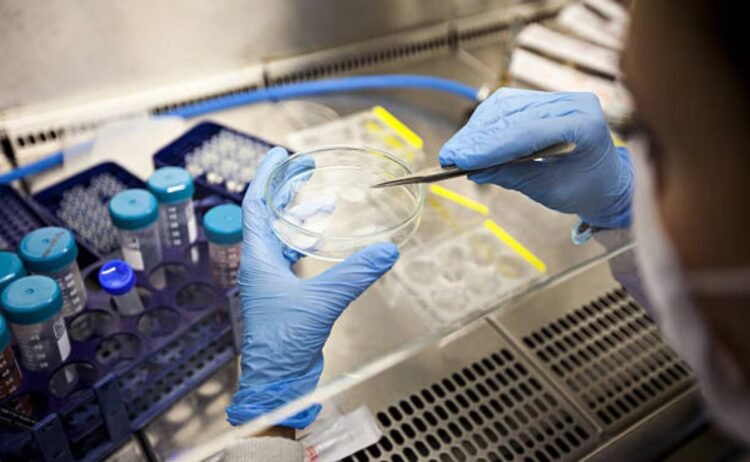 Stem cell transplant achieves cure for HIV