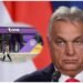 The storm begins for One Albania/ Magyar blocks 16 billion euros for 4iG, the Hungarian media talk about bankruptcy