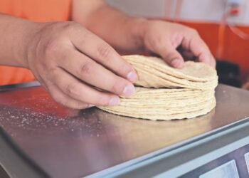 Tortilla rises to 35 pesos in the north of the country; they foresee a rise of 4 pesos