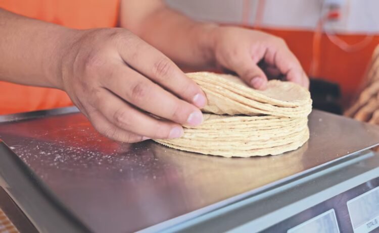 Tortilla rises to 35 pesos in the north of the country; they foresee a rise of 4 pesos