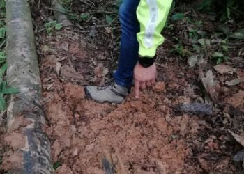 Judge dictates preventive detention for military and police officers involved in hydrocarbon trafficking network | Ecuador | News
