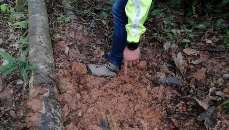 Judge dictates preventive detention for military and police officers involved in hydrocarbon trafficking network | Ecuador | News
