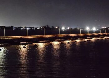 Sections of old Demerara bridge to be used in new transport projects – Edghill